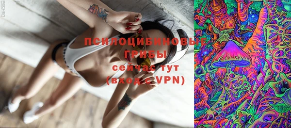 a pvp Саяногорск