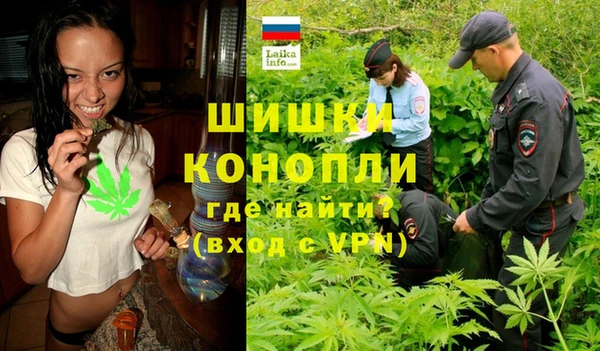 apvp Алзамай