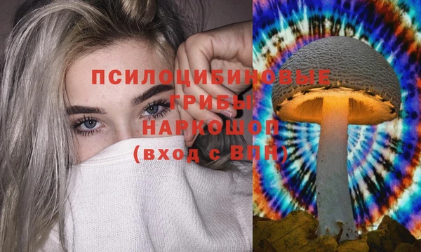 apvp Алзамай
