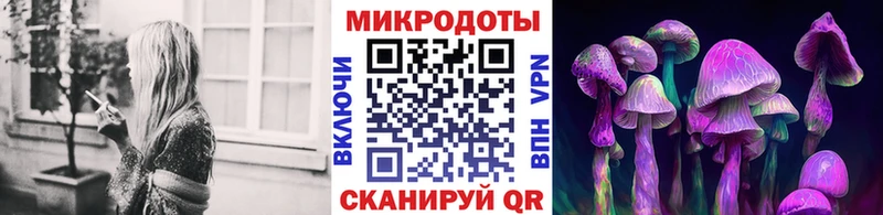 Псилоцибиновые грибы прущие грибы  mega зеркало  это какой сайт  дарнет шоп  Ковылкино 